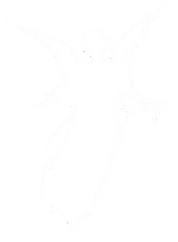 Angel Inline